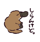 カモノハシです。（個別スタンプ：11）