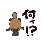 カモノハシです。（個別スタンプ：13）