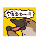 カモノハシです。（個別スタンプ：17）