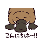 カモノハシです。（個別スタンプ：19）