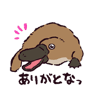 カモノハシです。（個別スタンプ：20）