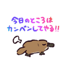 カモノハシです。（個別スタンプ：28）