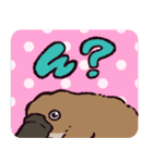 カモノハシです。（個別スタンプ：34）