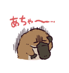 カモノハシです。（個別スタンプ：37）