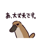 カモノハシです。（個別スタンプ：39）