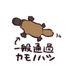 カモノハシです。（個別スタンプ：40）