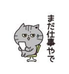サバトラの家族連絡【関西弁】（個別スタンプ：1）