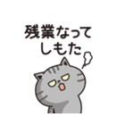 サバトラの家族連絡【関西弁】（個別スタンプ：2）