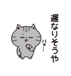 サバトラの家族連絡【関西弁】（個別スタンプ：3）
