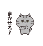 サバトラの家族連絡【関西弁】（個別スタンプ：12）