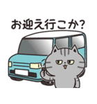 サバトラの家族連絡【関西弁】（個別スタンプ：21）