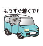 サバトラの家族連絡【関西弁】（個別スタンプ：22）