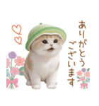 スコティッシュ猫 メロン帽 思いやり 敬語（個別スタンプ：5）