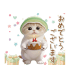 スコティッシュ猫 メロン帽 思いやり 敬語（個別スタンプ：7）