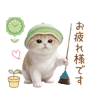 スコティッシュ猫 メロン帽 思いやり 敬語（個別スタンプ：9）