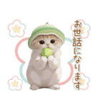スコティッシュ猫 メロン帽 思いやり 敬語（個別スタンプ：14）