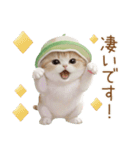 スコティッシュ猫 メロン帽 思いやり 敬語（個別スタンプ：15）