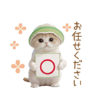 スコティッシュ猫 メロン帽 思いやり 敬語（個別スタンプ：17）
