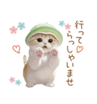 スコティッシュ猫 メロン帽 思いやり 敬語（個別スタンプ：19）