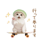 スコティッシュ猫 メロン帽 思いやり 敬語（個別スタンプ：21）