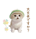 スコティッシュ猫 メロン帽 思いやり 敬語（個別スタンプ：22）