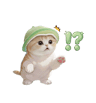 スコティッシュ猫 メロン帽 思いやり 敬語（個別スタンプ：23）