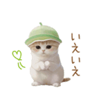 スコティッシュ猫 メロン帽 思いやり 敬語（個別スタンプ：25）