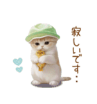 スコティッシュ猫 メロン帽 思いやり 敬語（個別スタンプ：26）
