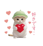 スコティッシュ猫 メロン帽 思いやり 敬語（個別スタンプ：27）