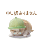 スコティッシュ猫 メロン帽 思いやり 敬語（個別スタンプ：29）