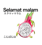 南国のドラゴンフルーツ【インドネシア語】（個別スタンプ：3）