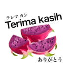 南国のドラゴンフルーツ【インドネシア語】（個別スタンプ：4）