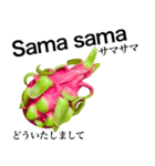 南国のドラゴンフルーツ【インドネシア語】（個別スタンプ：5）