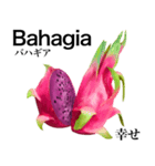 南国のドラゴンフルーツ【インドネシア語】（個別スタンプ：6）