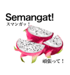 南国のドラゴンフルーツ【インドネシア語】（個別スタンプ：7）