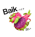 南国のドラゴンフルーツ【インドネシア語】（個別スタンプ：8）
