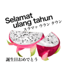 南国のドラゴンフルーツ【インドネシア語】（個別スタンプ：16）