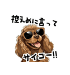 ロックだがネガティブな茶アメコカ（個別スタンプ：13）