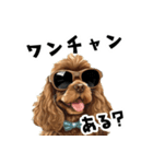 ロックだがネガティブな茶アメコカ（個別スタンプ：29）