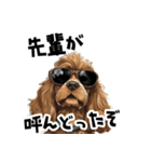 ロックだがネガティブな茶アメコカ（個別スタンプ：36）