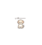 やさしいマルプー『超ミニサイズ！』（個別スタンプ：23）