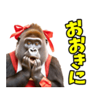 ずっと使える♡関西弁メスゴリラ（個別スタンプ：7）