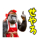 ずっと使える♡関西弁メスゴリラ（個別スタンプ：12）