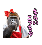 ずっと使える♡関西弁メスゴリラ（個別スタンプ：14）