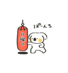 ゆるコアーラスタンプ（個別スタンプ：15）