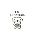 ゆるコアーラスタンプ（個別スタンプ：31）