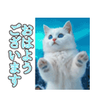 飛び出す★冬を感じる白猫_挨拶（個別スタンプ：2）