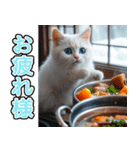 飛び出す★冬を感じる白猫_挨拶（個別スタンプ：6）