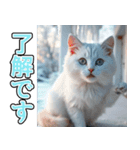 飛び出す★冬を感じる白猫_挨拶（個別スタンプ：9）