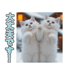 飛び出す★冬を感じる白猫_挨拶（個別スタンプ：11）